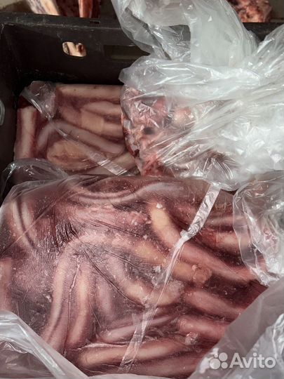 Бычьи корни чищенные