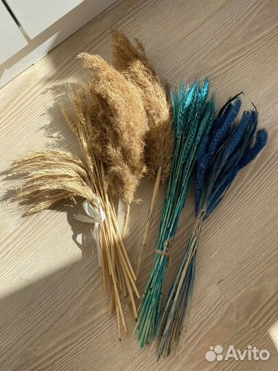 Сухоцветы для декора