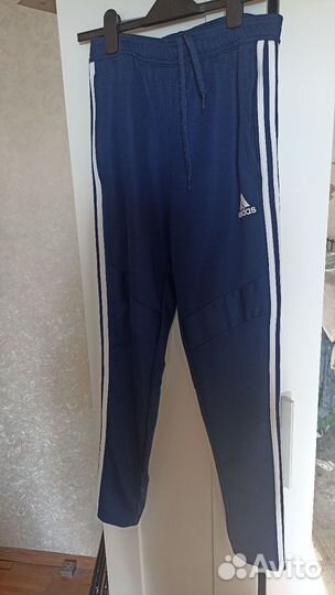 Лосины штаны