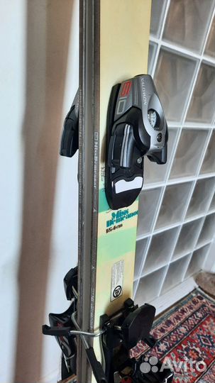 Горные лыжи