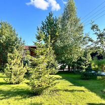 Озеленение и благоустройство