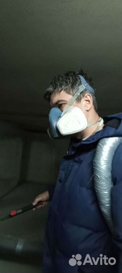 Уничтожение клопов, тараканов