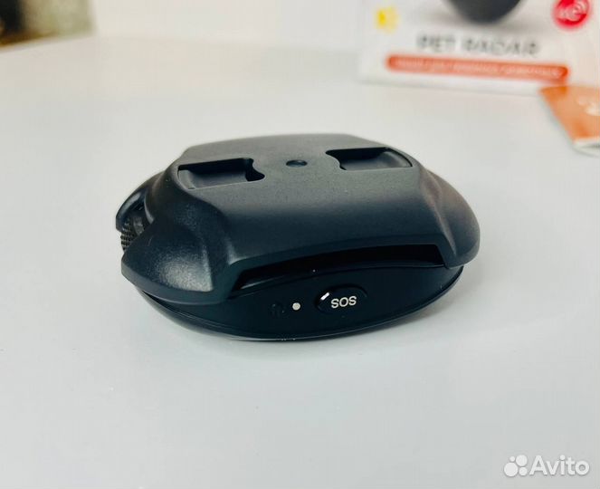 GPS трекер для животных Geozon Pet Radar G-SM17BLK