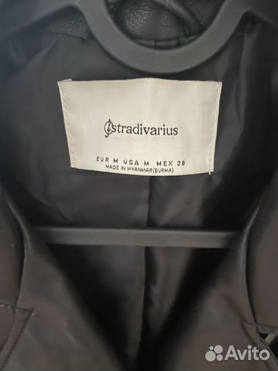 Косуха stradivarius