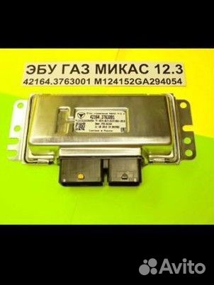 Мозги газель 12.3