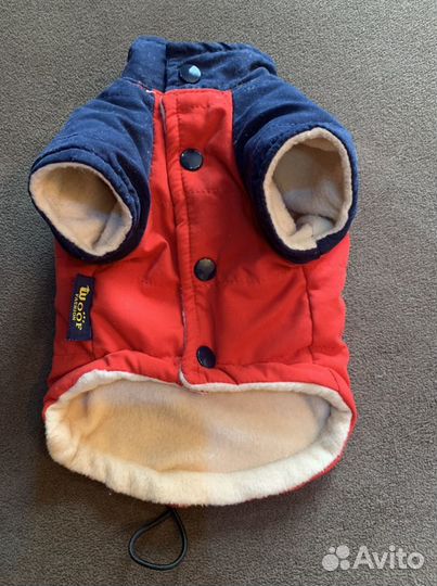 Одежда для маленьких собак