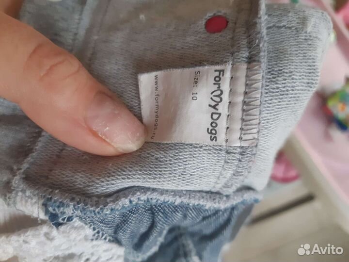 Костюм для собачки