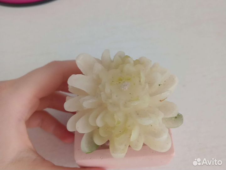 Свечарозадекоративные элементы для дома