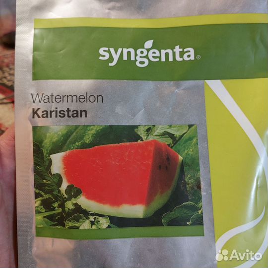 Семена арбуза каристан F2