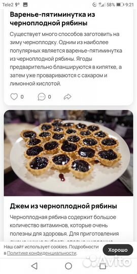 Черноплодная рябина