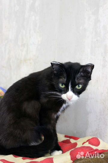 Киса Кузьминишна