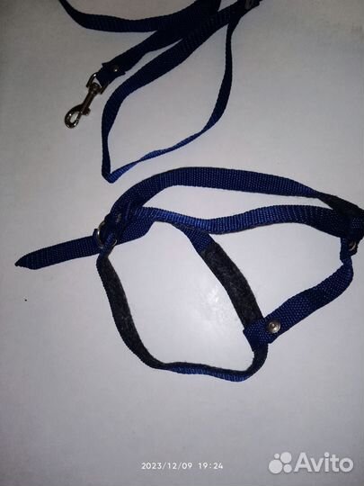 Шлейка для маленькой собаки