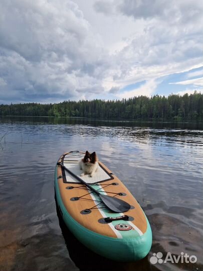 Прокат/аренда Sup Board/ Сап доски/ Sup-борд