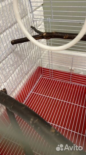 Клетка для попугая