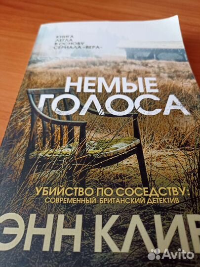 Книга Мэгги Стивотер 