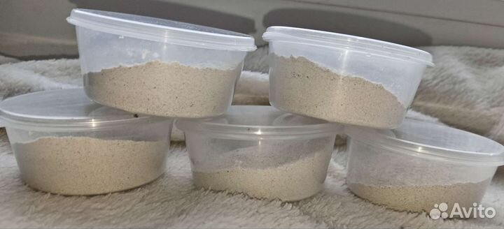 Repashy витамины, кальций для рептилий, эублефары