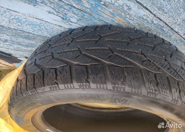 Tigar Winter 195/55 R16