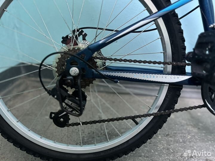 Stinger caiman 24 disc