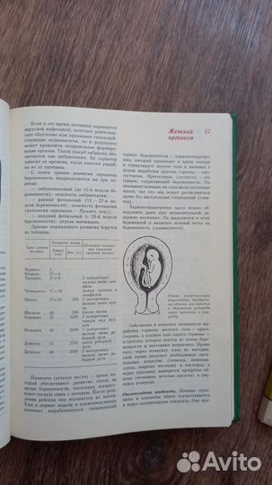 Краткая энциклопедия для женщин