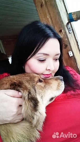 Выгульщик собак