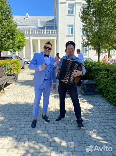 Баянист певец ведущий