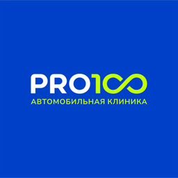 PRO100 АВТОМОБИЛЬНАЯ КЛИНИКА