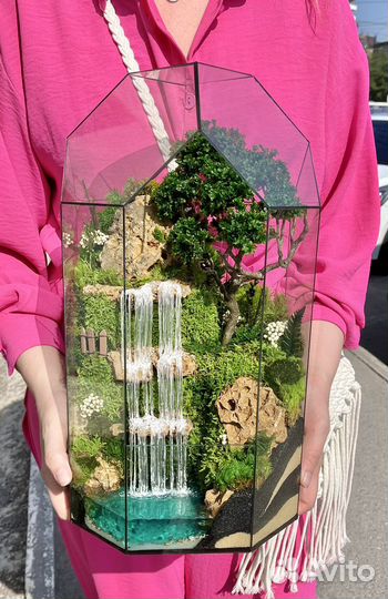 Моссариум подарок цветы