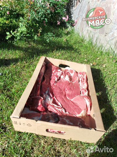 Мясо говядина