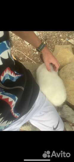 Кофта legit check za otzuv