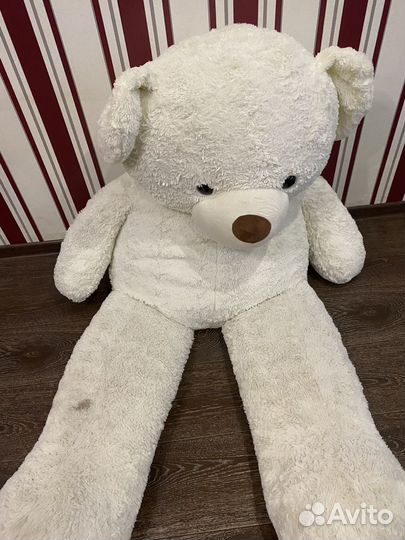 Плюшевый медведь
