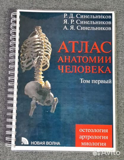 Атлас анатомии человека Синельников. Том Первый