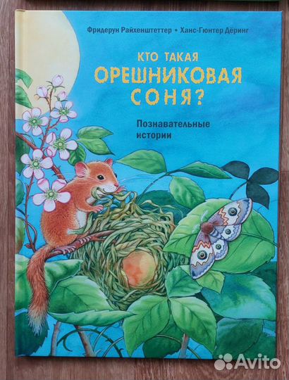 Райхенштеттер