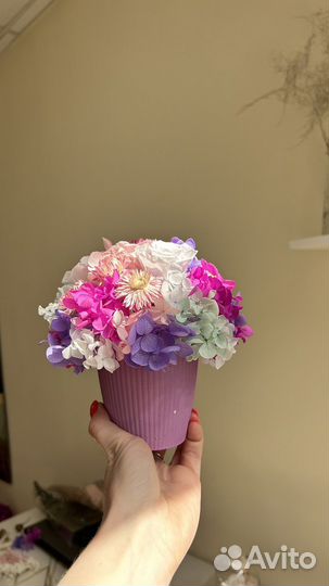 Цветы стабилизированные