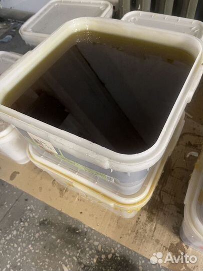 Натуральный мед дягилевый оптом