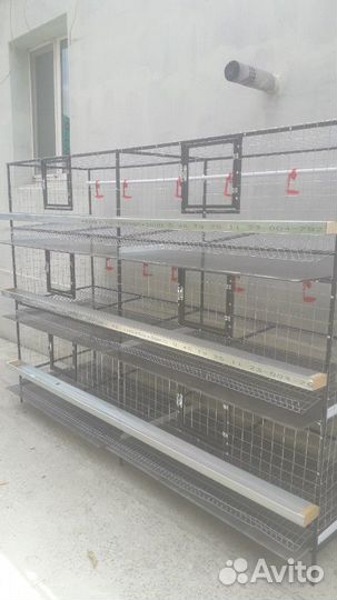 Клетки для перепелов, кур, кроликов