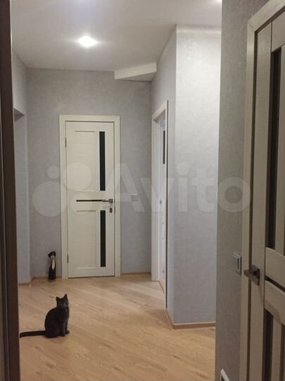 2-к. квартира, 53,7 м², 4/4 эт.