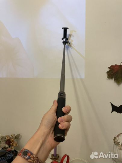 Сели палка honor