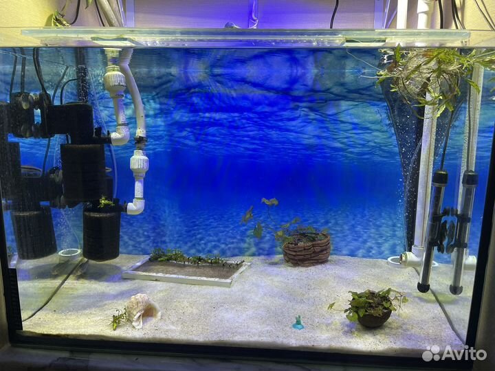 Аквариум