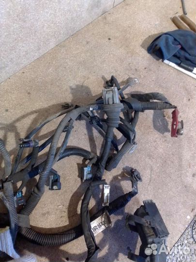 Проводка двигателя коса Chevrolet Aveo T 200