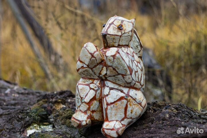Белка каменная