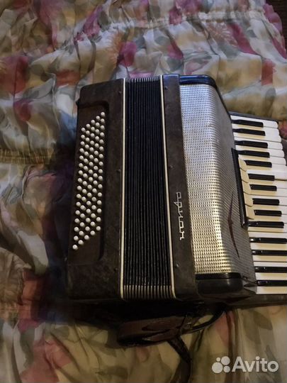Аккордеон