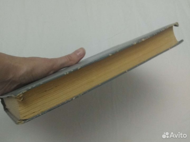 Основы философских знаний