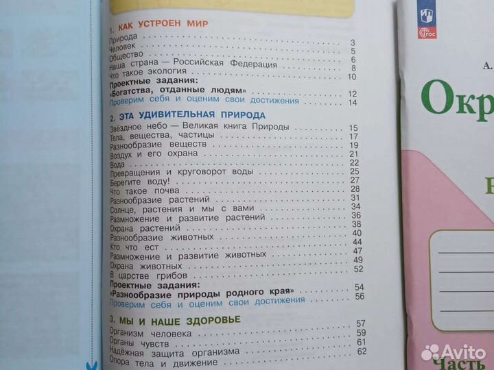 Рабочая тетрадь окружающий мир плешаков 3 класс