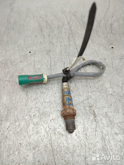 Датчик кислородный Ford Focus 3 1351337