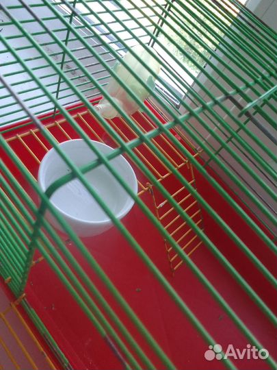 Клетка для грызунов