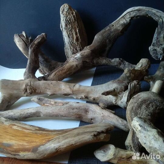 Коряги дрифтвуд. Набор 8 шт. Лот 111