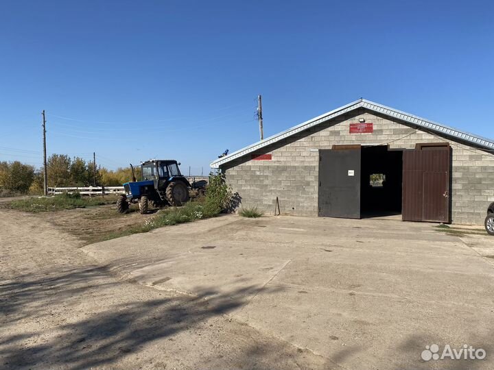 Продается готовый бизнес молочно-товарная ферма