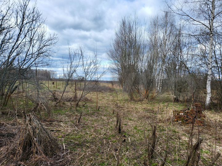 Дом 50 м² на участке 41 сот.