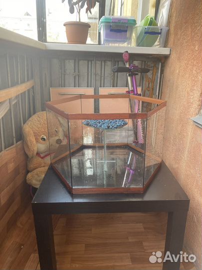 Аквариум для черепах