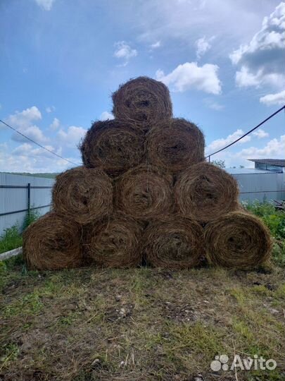 Сено в рулонах